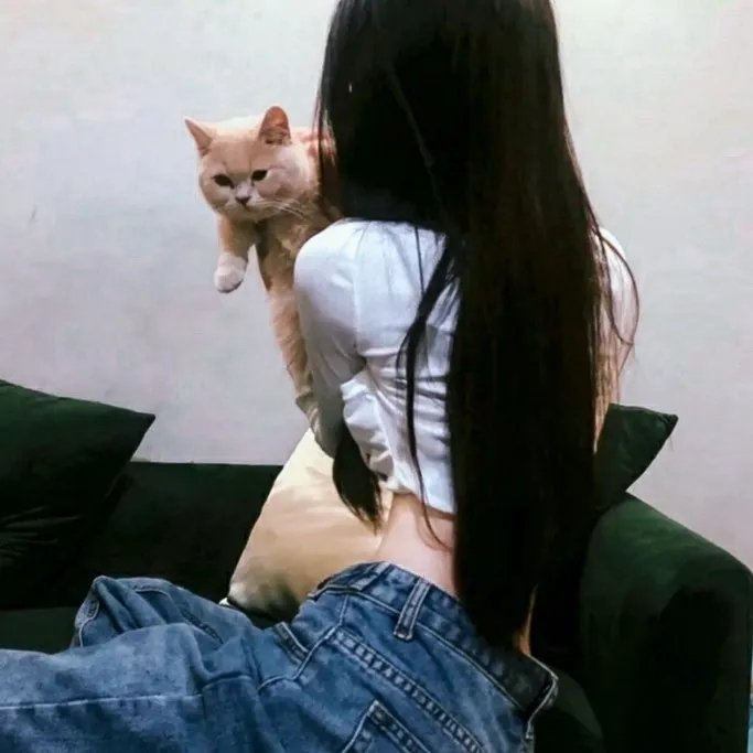 桥王之王