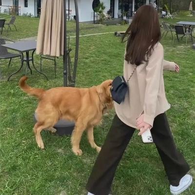 梦幻银河